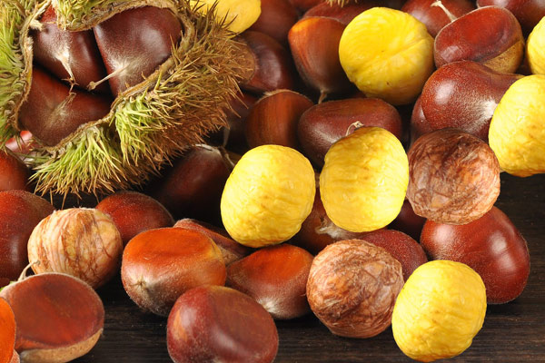 色差儀在板栗果肉褐變程度檢測中的應用