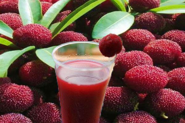 色差儀在楊梅汁色澤評定中的應用